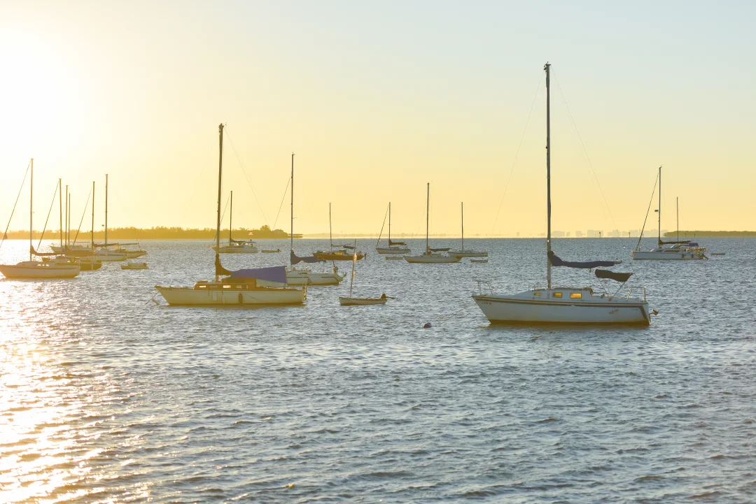 Sailboats in the Gulf of Mexico, viewed from Bradenton Beach.